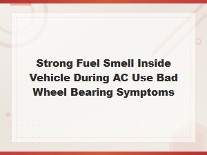 Strong Fuel Smell Inside Vehicle During Ac Use and Bad Wheel Bearing Symptoms Diagnosis